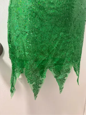 Tinkerbell festival cosplay dress and wings thumbnail 11