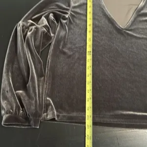 Madewell Velvet V-Neck Velvet Balloon Sleeve Top thumbnail 4