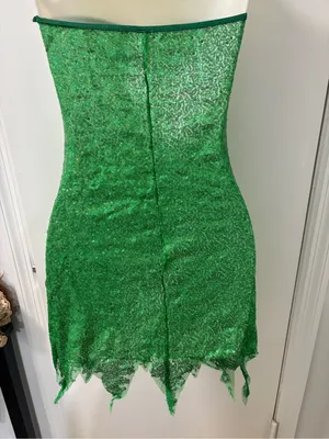 Tinkerbell festival cosplay dress and wings thumbnail 8