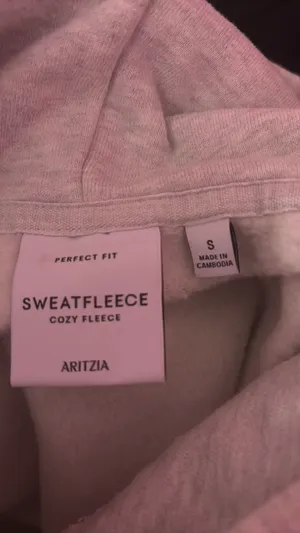 Aritzia Hoodie thumbnail 2
