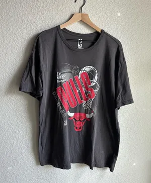 NBA Chicago Bulls Champion Graphic T-shirt thumbnail 1