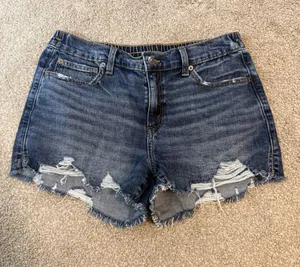 aerie Dark Blue Distressed Denim Shorts thumbnail 1