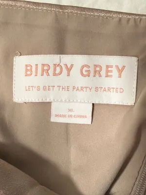 Birdy Grey Satin Halter dress thumbnail 7