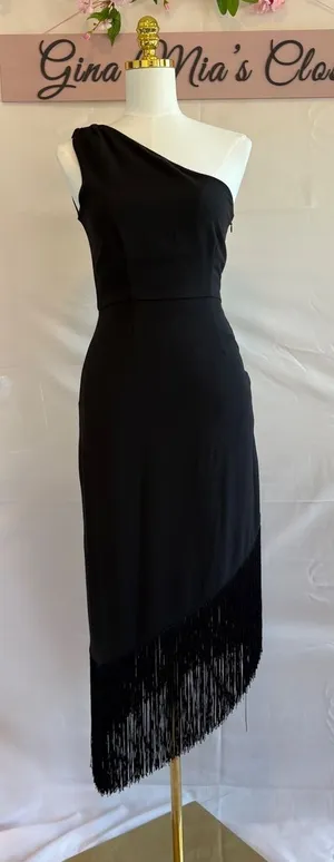 HUTCH One-Shoulder Black Fringe Midi Dress Size XS by Anthropologie thumbnail 1
