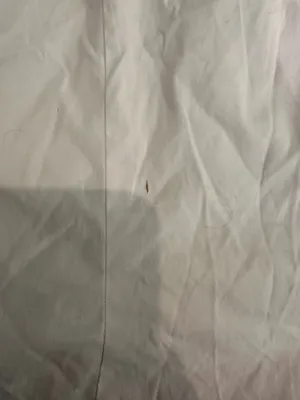 ZARA Top thumbnail 6