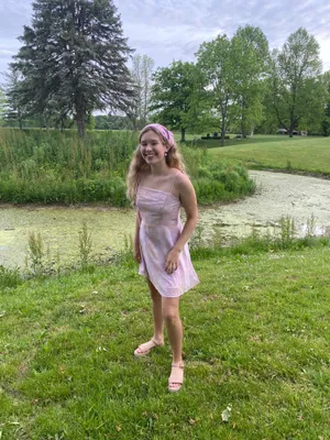 Shein Pink Butterfly Dress thumbnail 2