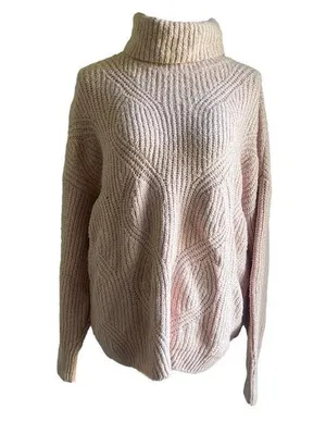 CASLON Women’s Oversized Pink Pullover Cowl Neck Sweater Size XL thumbnail 1