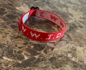 WWJD BRACELET Red thumbnail 1