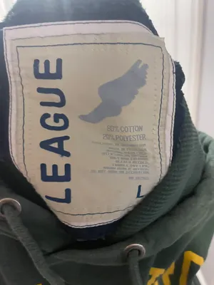 Graphic College Hoodie Fitchburg State thumbnail 4
