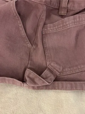 PacSun shorts thumbnail 3