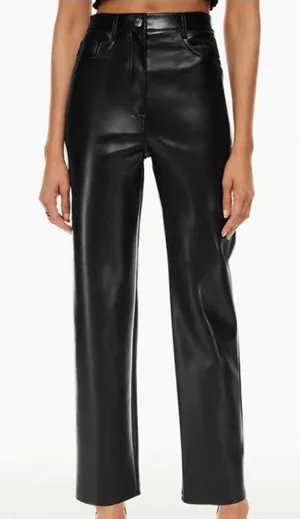Aritzia Wilfred Leather Pants thumbnail 1