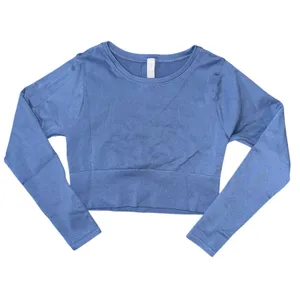 OFFLINE Aerie Sidewalk Seamless Long Sleeve Cropped T-Shirt marbled blue medium thumbnail 5