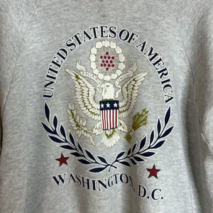 VTG‎ 80s 90s Gray Sweatshirt pullover Washington DC USA Size XL thumbnail 4