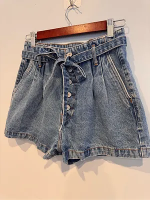 Abercrombie & Fitch Paperbag Tie Waist Buttonfly Shorts Size 2 thumbnail 4