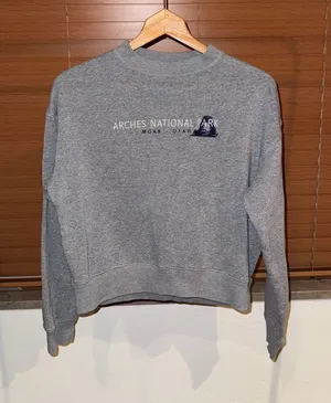 Champion Arches National Park Crewneck Sweatshirt - Gray thumbnail 1