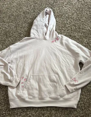 Light Pink Hollister Hoodie thumbnail 1