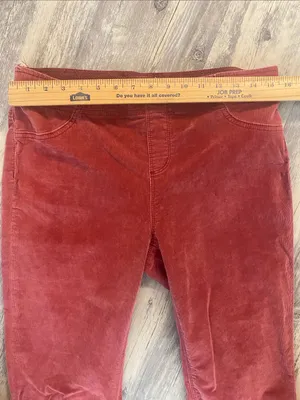We The Free Pull On Flare Earthy Terracotta Corduroy Pants Size 31 thumbnail 2