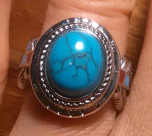 Blue Howlite and Enameled Feather Stainless Steel Ring (Size 7) thumbnail 1