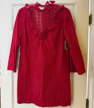 Free People Red Babydoll Dress thumbnail 1