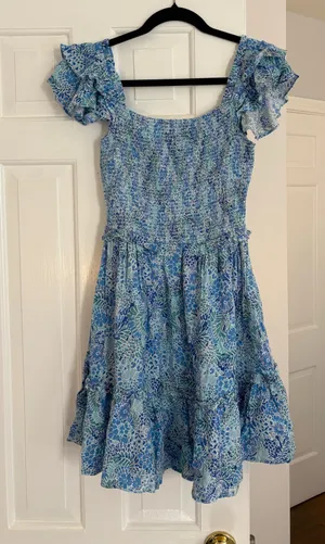 Ivy and Leo Mini Dress thumbnail 1