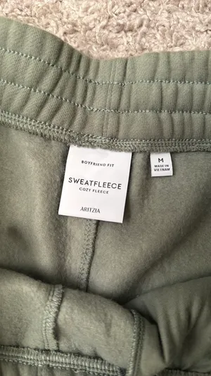 Aritzia Sweat Shorts  thumbnail 2