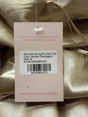 Birdy Grey NWT Lisa Long Shiny Satin Dress Neutral Champagne Size M thumbnail 7