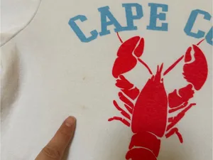 GAP White Short-Sleeve Tee with Red Lobster and Blue 'CAPE COD' Print thumbnail 2