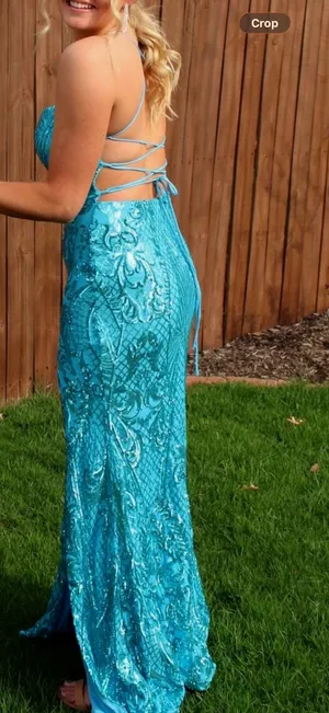 Windsor Dress Semi-Formal thumbnail 2