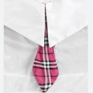 Hustler Hollywood Fuchsia Plaid Skirt and Tie Set thumbnail 8