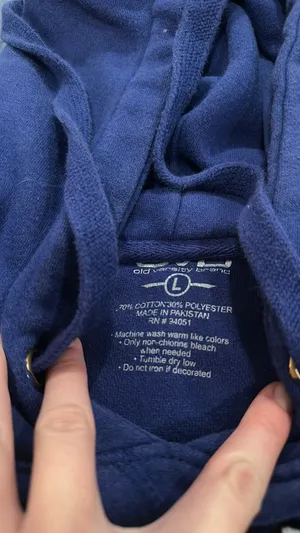 Old Varsity Brand Duke embroidered hoodie thumbnail 8