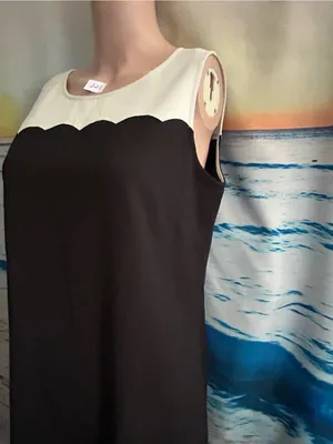 Loft Women’s Sleeveless Black Shift Dress Cream Scalloped Yoke Sz 8 NWT thumbnail 3
