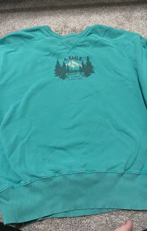 American Eagle Sweatshirt thumbnail 1