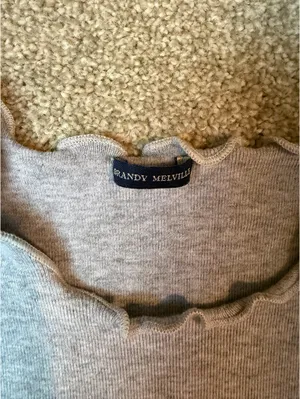 Brandy Melville Gray Short Sleeve Lettuce Hem Crop Top thumbnail 3