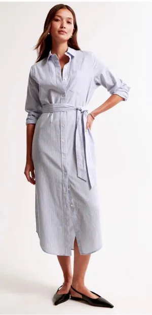 Abercrombie & Fitch Long Sleeve Belted Shirt Dress Blue Stripe Size Large Petite thumbnail 1