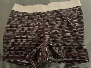 Authentic American Heritage Spandex Shorts thumbnail 1