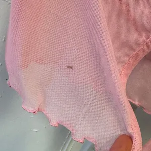 Princess Polly Tasia Top Y2K Pink‎ Sheer Mesh Lace Underwire Crop Top US 4 thumbnail 8
