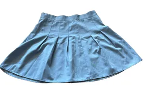 Blue Pleated Skater Mini Skirt thumbnail 1