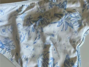 {Gilly Hicks} Brand New Baby Blue Printed Bikini Bottoms thumbnail 6