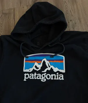 Patagonia sweatshirt thumbnail 2
