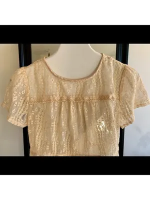 Lace Sheer Short Sleeve Shirt thumbnail 2