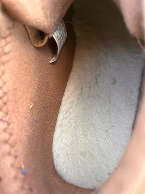 UGG Ankle Boots thumbnail 3
