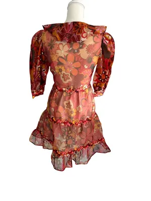 CELIA Floral Multicolor Sheer A Line Dress Size XS thumbnail 6