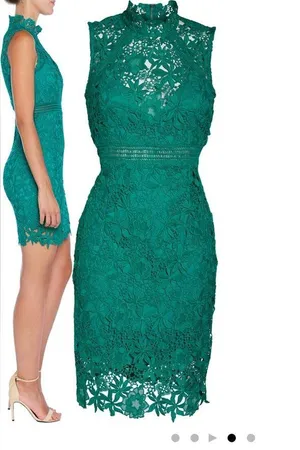 Bardot lace body con cocktail dress thumbnail 3
