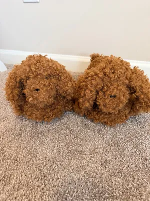 NWT Skims Curly dog faux fur slippers in chai size 38 new in bag thumbnail 6