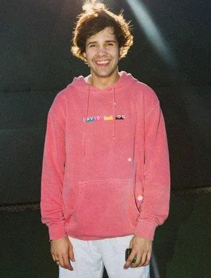 David Dobrik “Vlog Squad”  Hoodie thumbnail 1