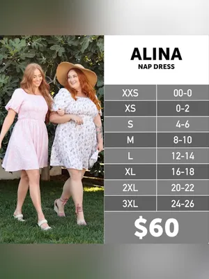 LuLaRoe Alina Light Blue Plaid Smocked Midi Dress thumbnail 4