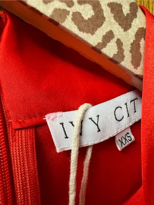 Ivy City Co. Pippa Long Sleeve Tie Bow Neck Knee Length Dress Satin Red XXS NEW thumbnail 10