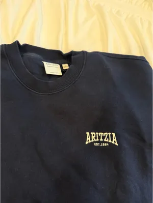 Aritzia Crewneck  thumbnail 2
