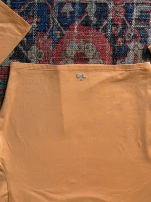 Alo Cropped Long Sleeve Top Yoga thumbnail 4
