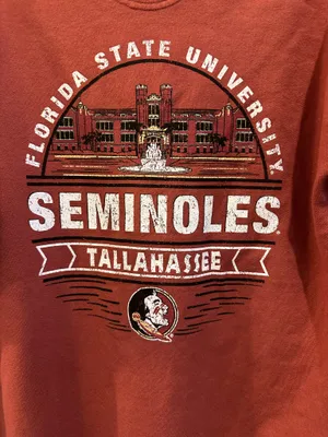 Comfort Colors Comfort Wash Florida State Seminoles Crewneck Sweatshirt thumbnail 4